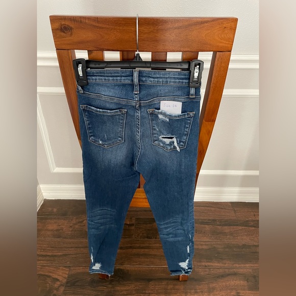 Flying Monkey - Picture 2 of 2